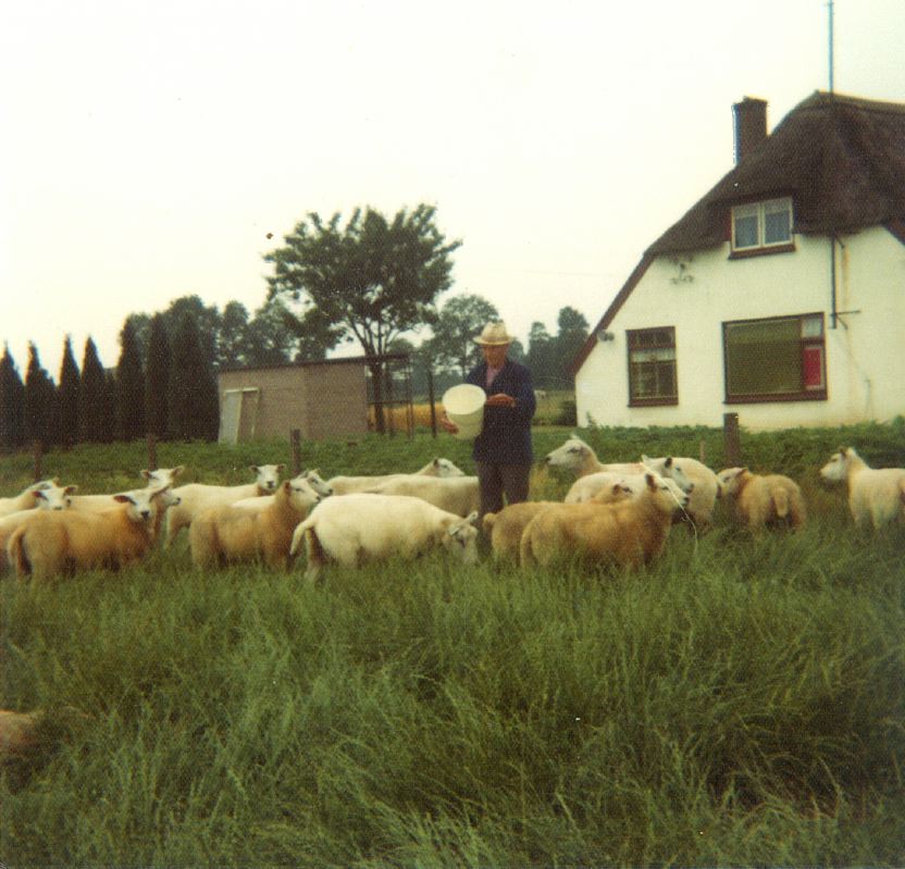 XX_FamTerHoeven_SCAN0338_024