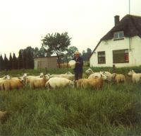 XX_FamTerHoeven_SCAN0338_024