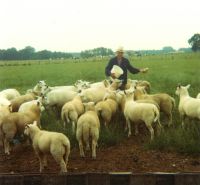 XX_FamTerHoeven_SCAN0338_035